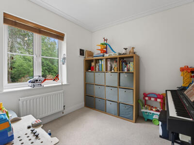 Picture 5